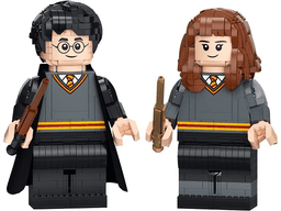 LEGO Harry Potter & Hermione Granger (76393-1) set