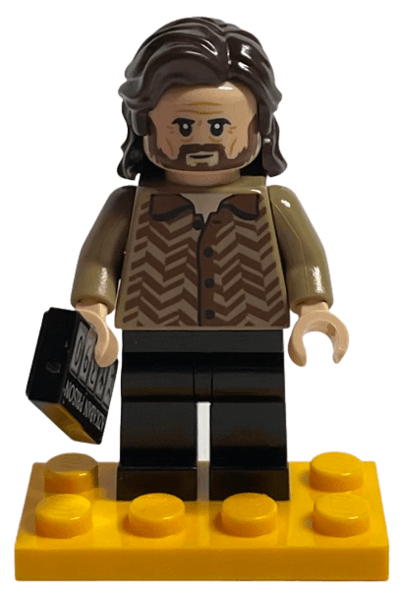 LEGO Advent Calendar 2022, Harry Potter (Day  9) - Sirius Black with Azkaban Plaque (76404-10) set, 2022