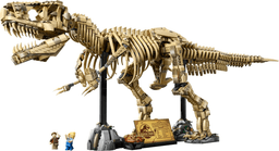 LEGO Dinosaur Fossils: Tyrannosaurus rex (76968-1) set