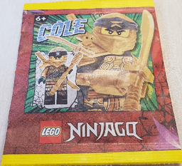 Cole  paper bag #1