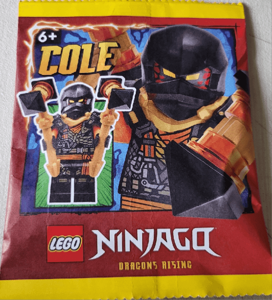 LEGO Cole paper bag #2 (892408-1) set, 2024