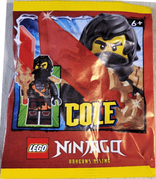 LEGO Cole paper bag #3 (892512-1) set, 2025
