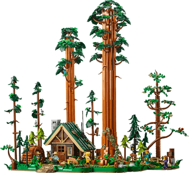 Sequoia Tree Trail