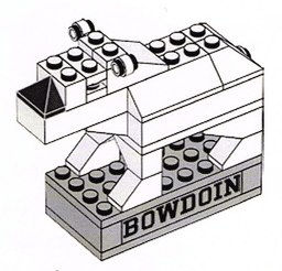 Polar Bear - Bowdoin College Exclusive