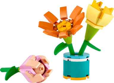 Friendship Flowers polybag
