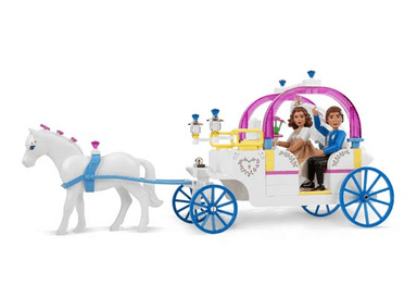 Wedding Coach