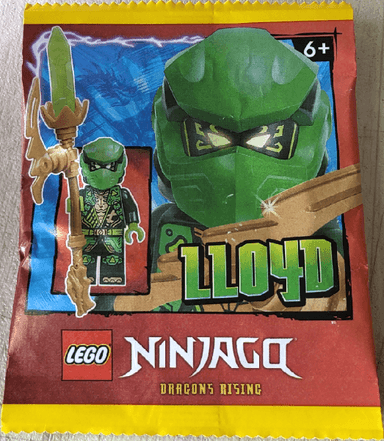 Lloyd paper bag #4